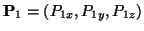 \( \mathbf{P}_{1}=\left( P_{1x},P_{1y},P_{1z}\right) \)